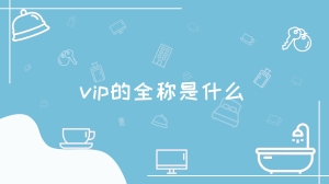 vip的全称是什么