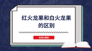 红火龙果和白火龙果的区别