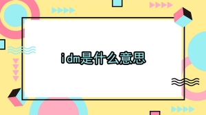 idm是什么意思