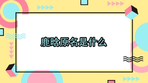 鹿晗原名是什么