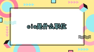 cio是什么职位