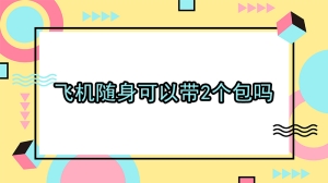 飞机随身可以带2个包吗