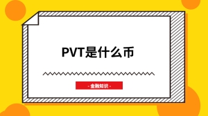 pvt是什么币