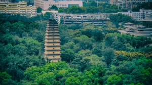 小雁塔和大雁塔的区别