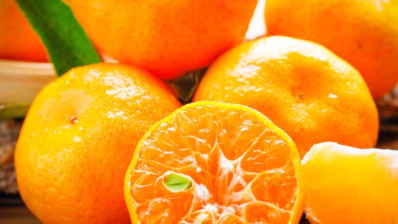 桔子和橘子的区别是什么