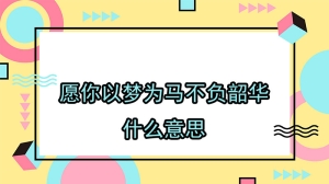 愿你以梦为马不负韶华什么意思