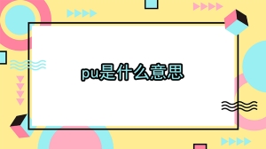 pu是什么意思