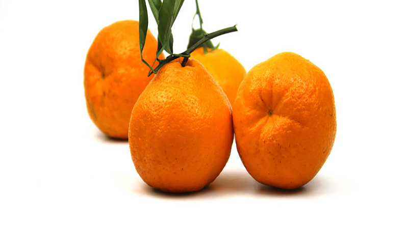 葩葩柑与丑橘的区别
