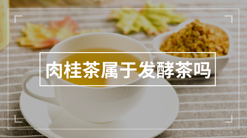 肉桂茶属于发酵茶吗