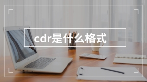 cdr是什么格式