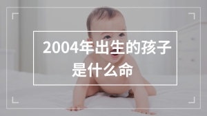 2004年出生的孩子是什么命