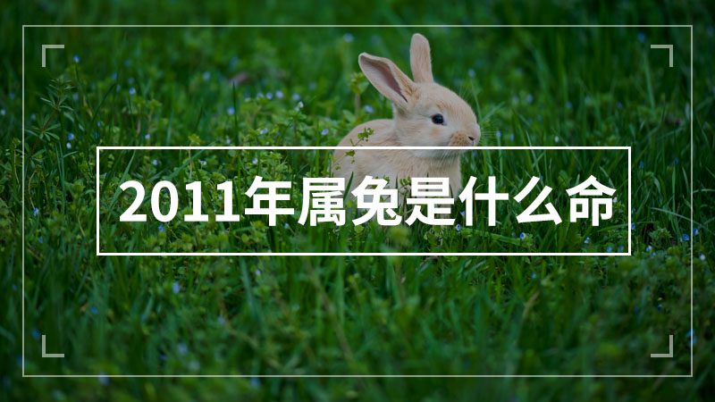 2011年属兔是什么命