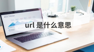 url 是什么意思