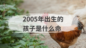 2005年出生的孩子是什么命