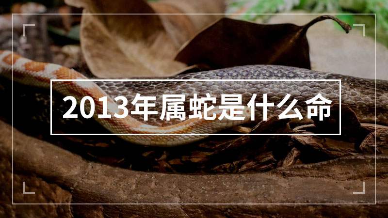 2013年属蛇是什么命