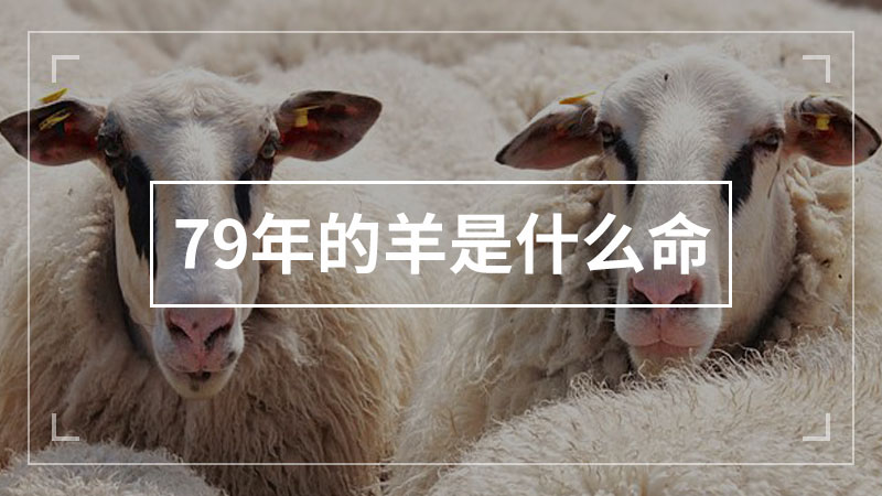 79年的羊是什么命