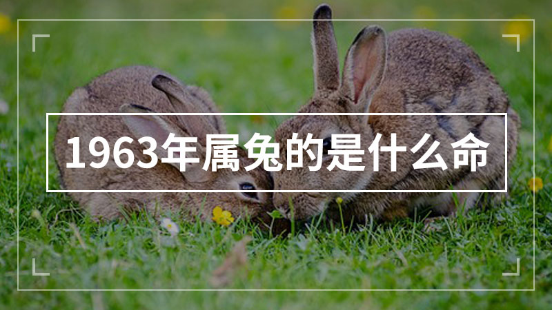 1963年属兔的是什么命