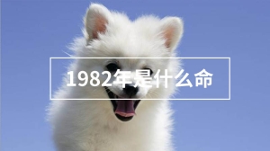 1982年是什么命