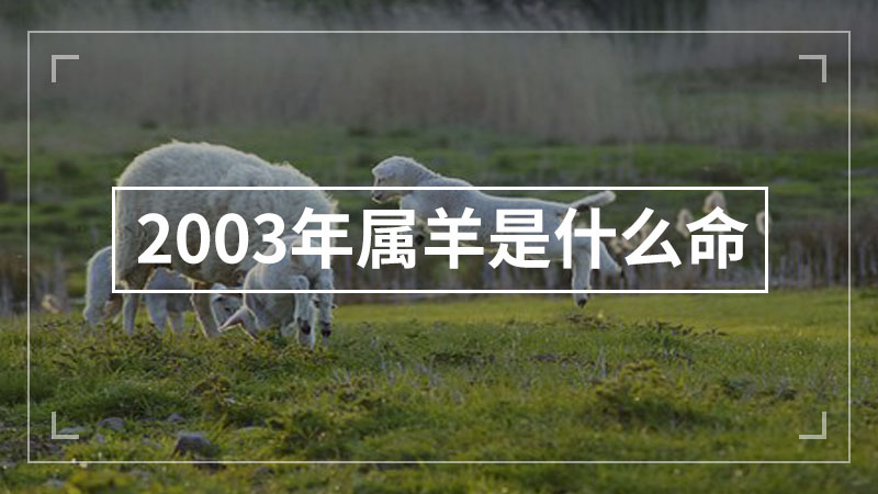 2003年属羊是什么命