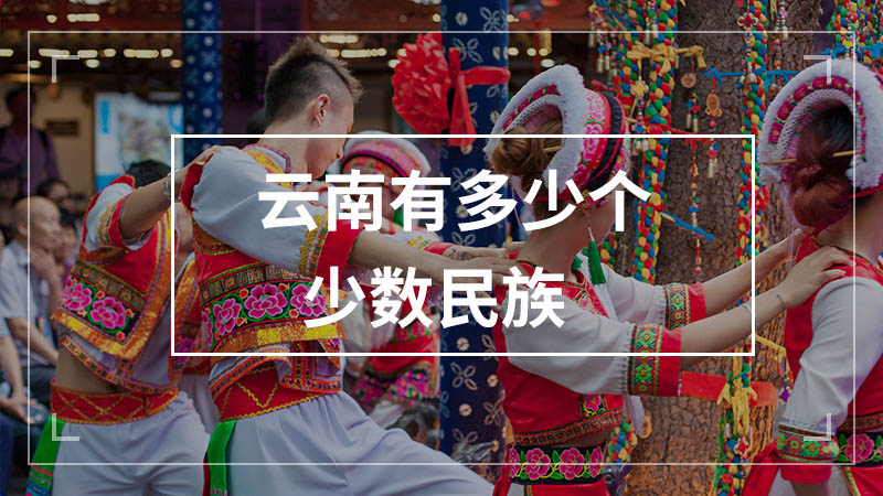 云南有多少个少数民族