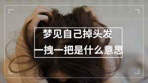 梦见自己掉头发一拽一把是什么意思