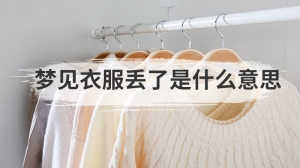 梦见衣服丢了是什么意思