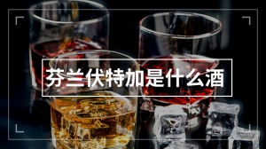 芬兰伏特加是什么酒