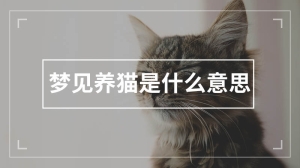 梦见养猫是什么意思