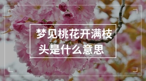 梦见桃花开满枝头是什么意思