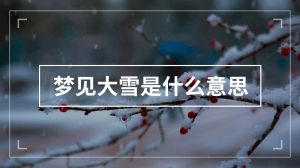 梦见大雪是什么意思