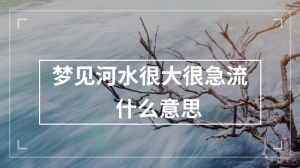 梦见河水很大很急流什么意思