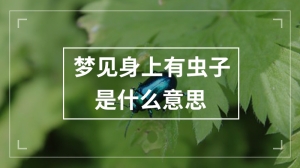 梦见身上有虫子是什么意思