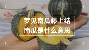 梦见南瓜藤上结南瓜是什么意思