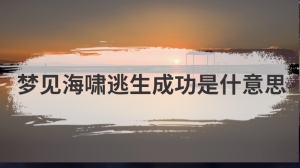 梦见海啸逃生成功是什意思