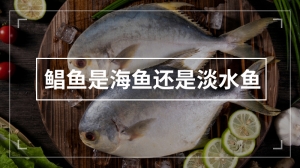 鲳鱼是海鱼还是淡水鱼