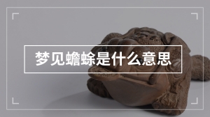 梦见蟾蜍是什么意思