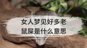 女人梦见好多老鼠屎是什么意思