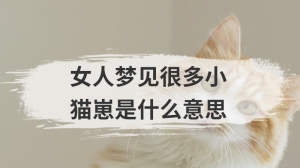 女人梦见很多小猫崽是什么意思