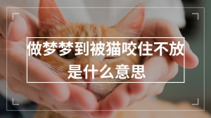 做梦梦到被猫咬住不放是什么意思