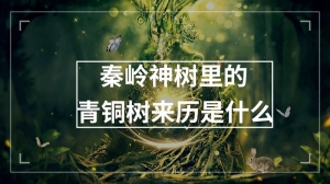 秦岭神树里的青铜树来历是什么