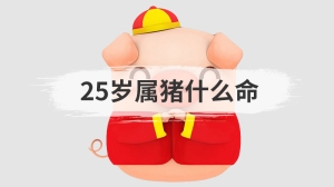 25岁属猪什么命