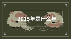 2015年是什么年