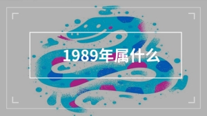 1989年属什么