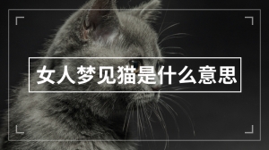 女人梦见猫是什么意思