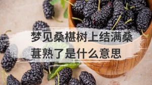 梦见桑椹树上结满桑葚熟了是什么意思