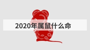 2020年属鼠什么命