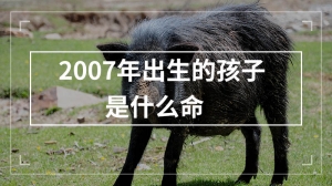 2007年出生的孩子是什么命