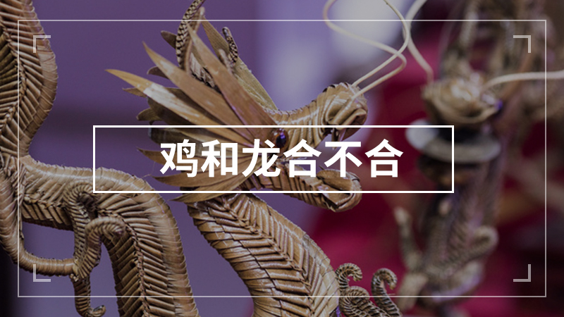 鸡和龙合不合