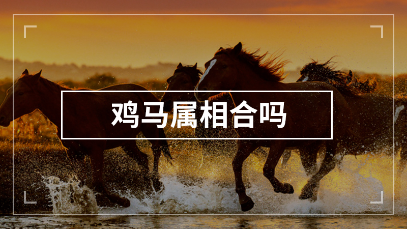 鸡马属相合吗