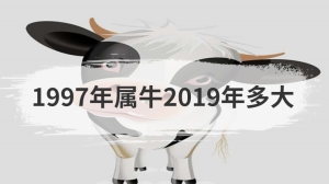 1997年属牛2019年多大